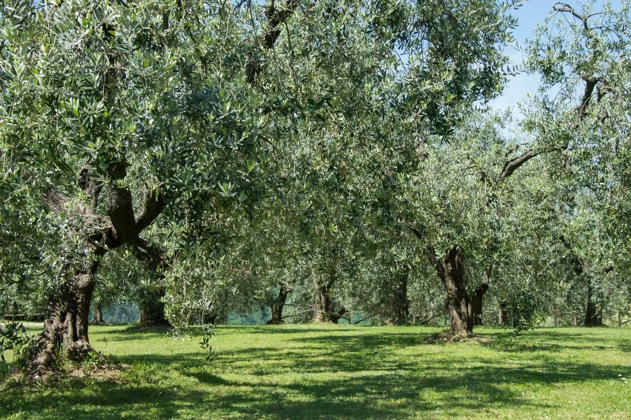 Agriturismo Podere La Casa Palaia Italië